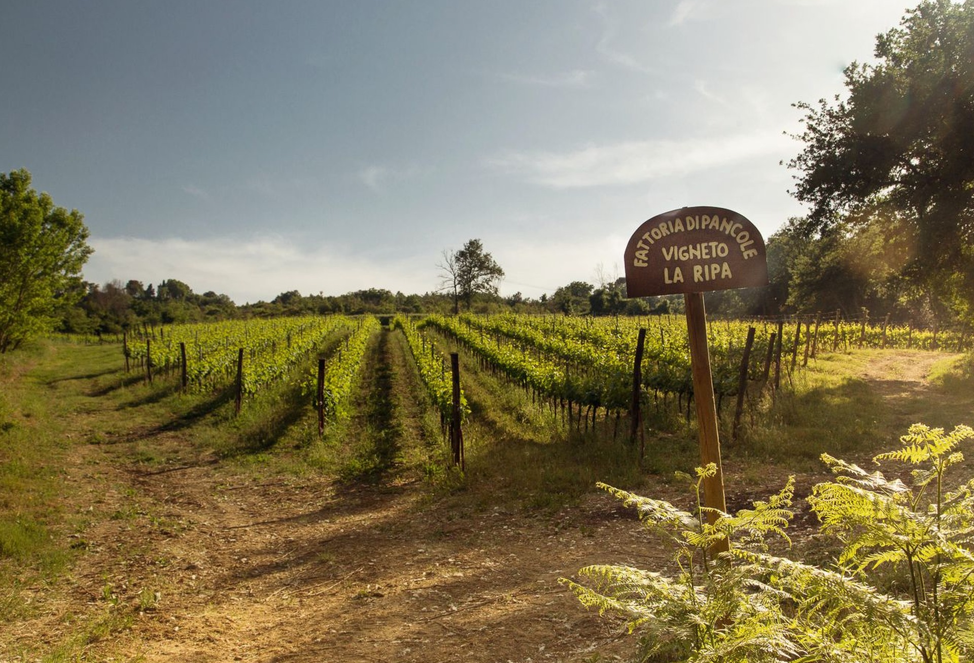 La Fattoria e la Storia